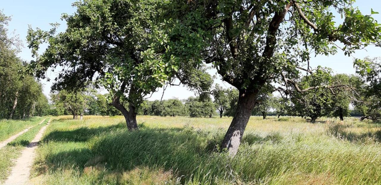 Gaestehaus Hoeltig Havekost Luaran gambar
